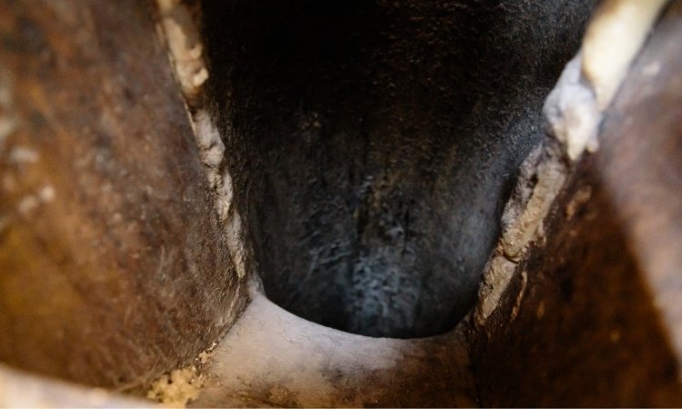 How a Rubbish Chute fire