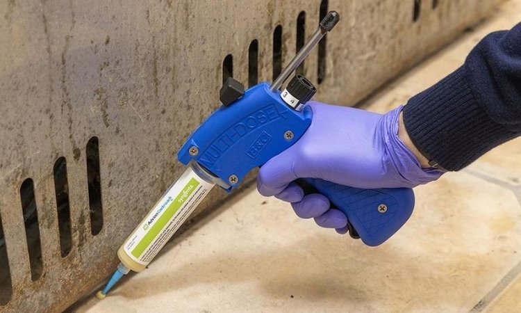 Rubbish Chute Hacks To Keep Your Kitchen Pest-Free in Singapore